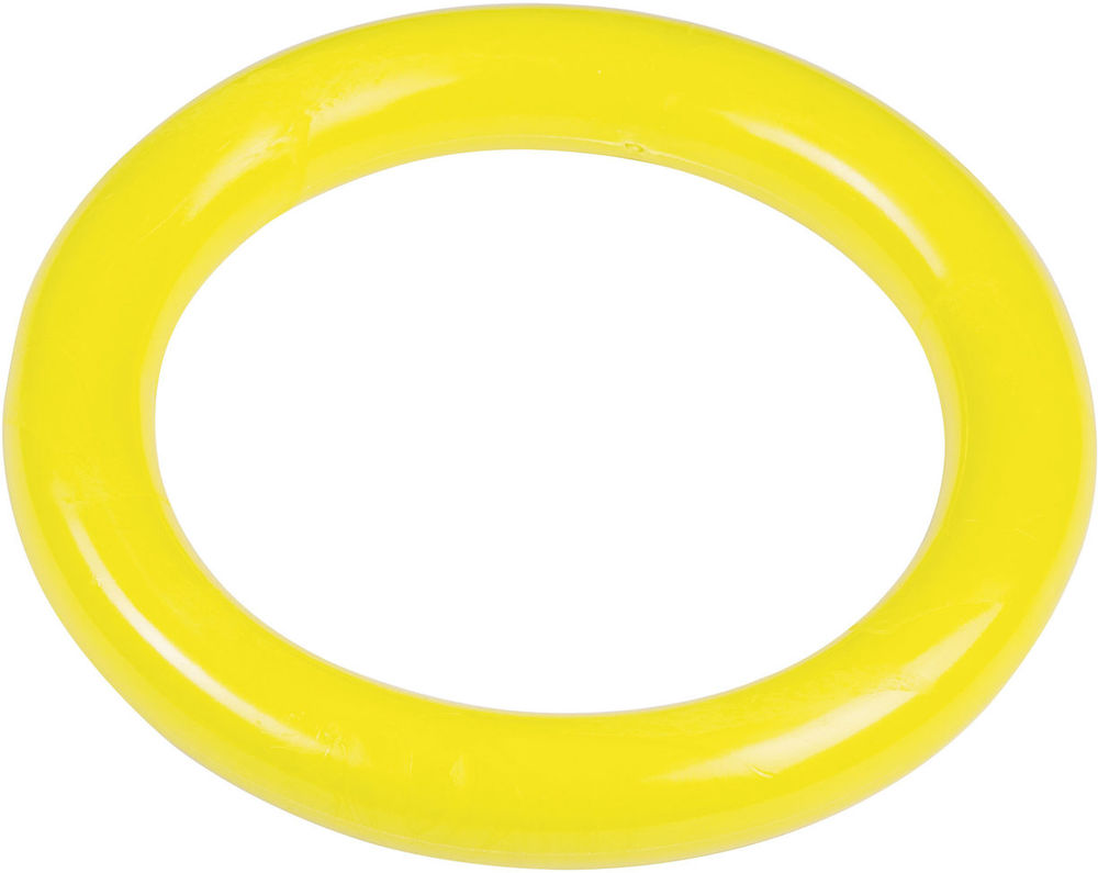 KÓŁKO DO WYŁAWIANIA DIVING RING