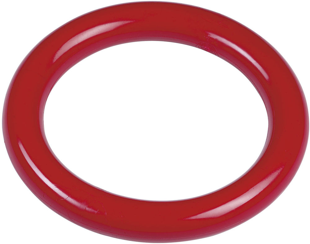 KÓŁKO DO WYŁAWIANIA DIVING RING