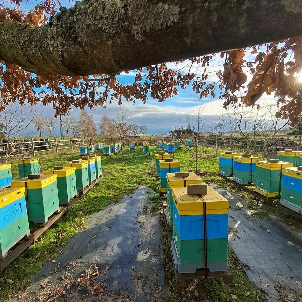 ŚWIECA Z NATURALNEGO WOSKU PSZCZELEGO 100% WALEC GŁADKI